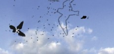 Figure 3 Birds Singing Other Birds’ Songs By Maria Mencia, 2001