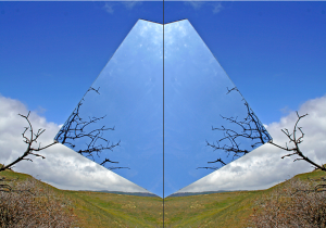 Reaching Beyond Reality, (digitally manipulated photograph, output as archival inkjet, limited edition). Available at matted dimensions of 20”H x 26”W, 2006