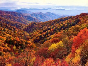 smoky-mountainsusa-travel-with-us-smoky-mountains--fall-colors-and-waterfall-hikes-xio22oqx