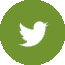 twitter-icon